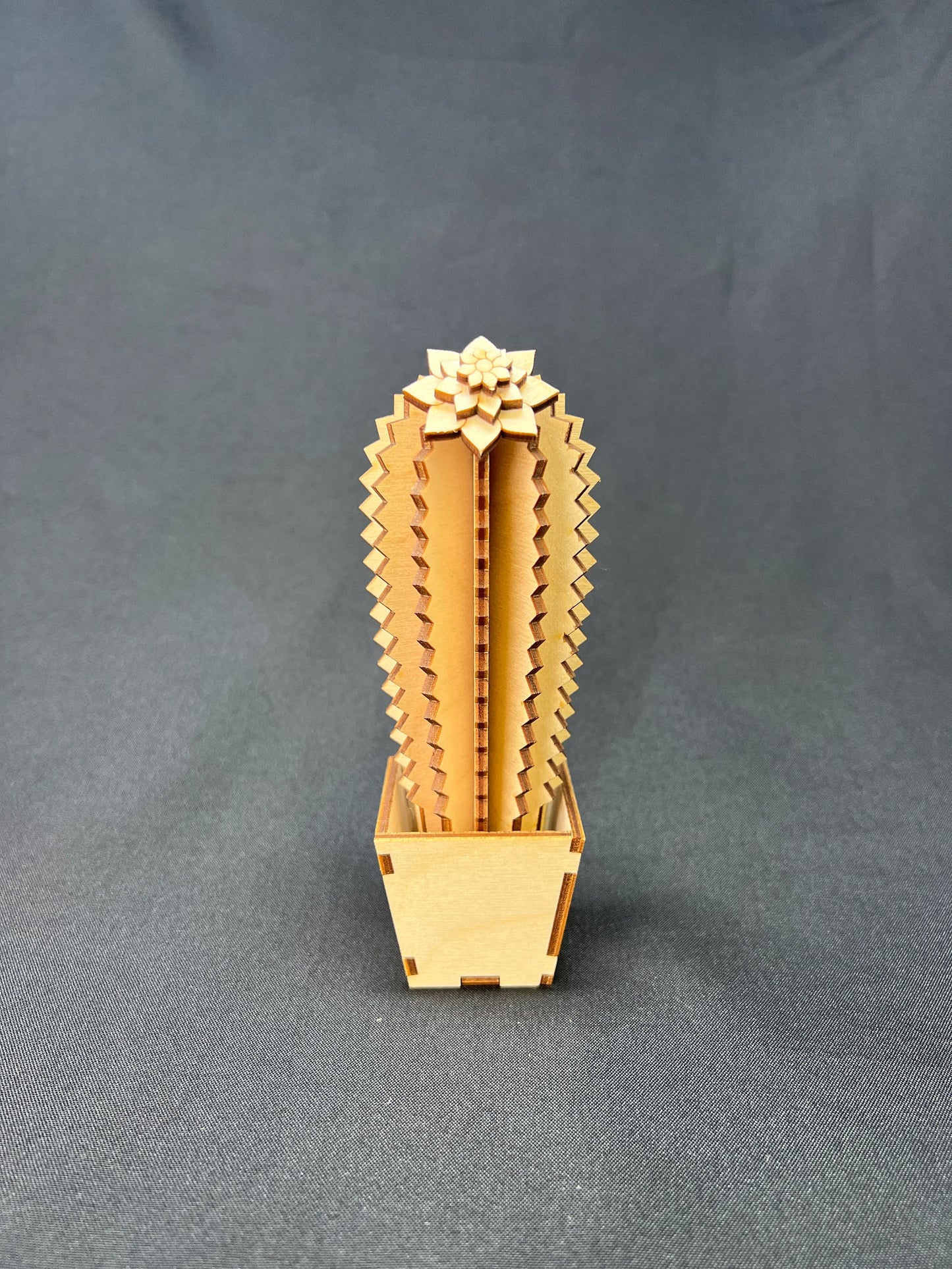Laser Cut Wooden Cactus DIY Kit | Elsie