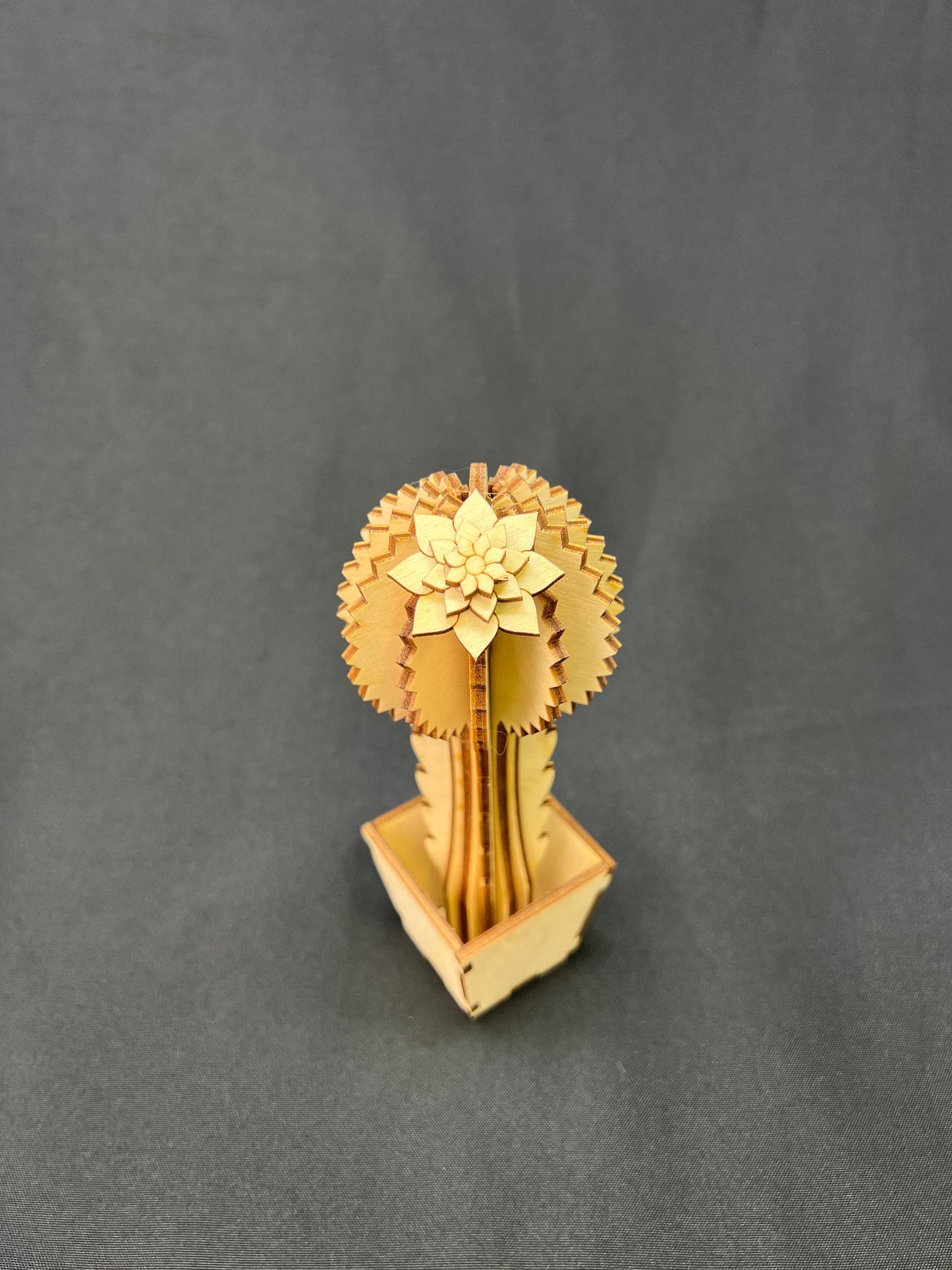 Laser Cut Wooden Cactus | Penny