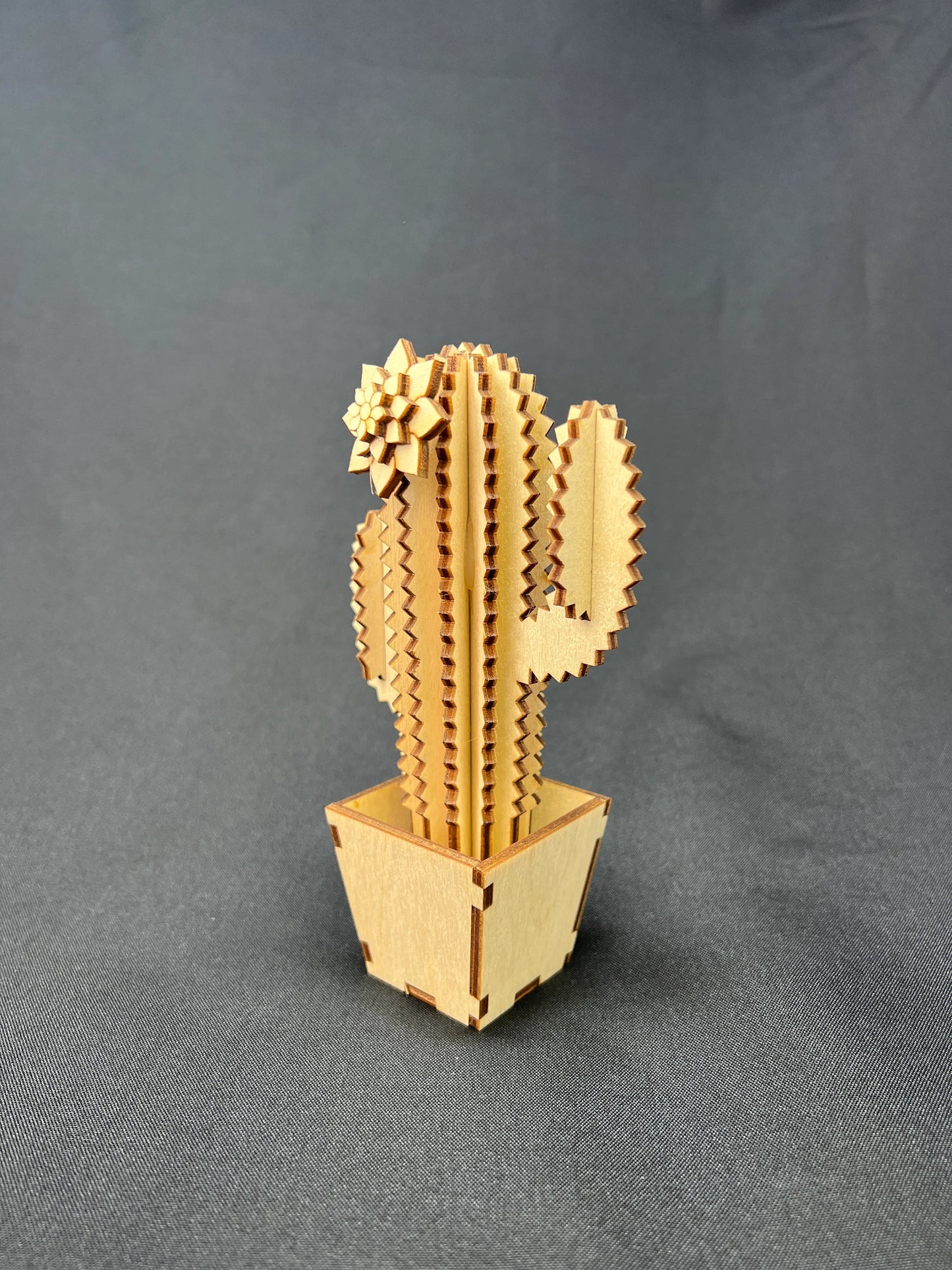 Laser Cut Wooden Cactus | Ruth