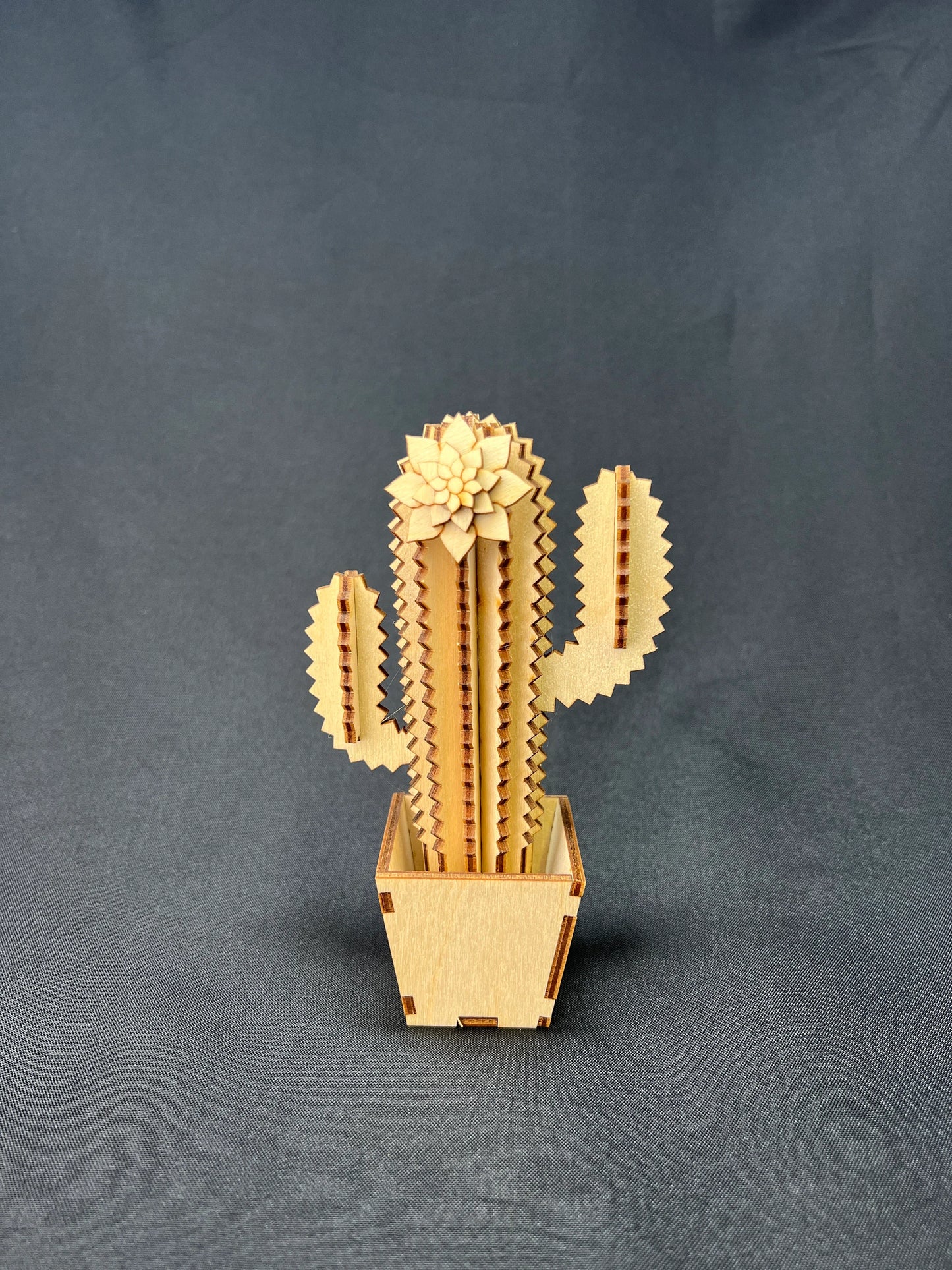 Laser Cut Wooden Cactus | Ruth