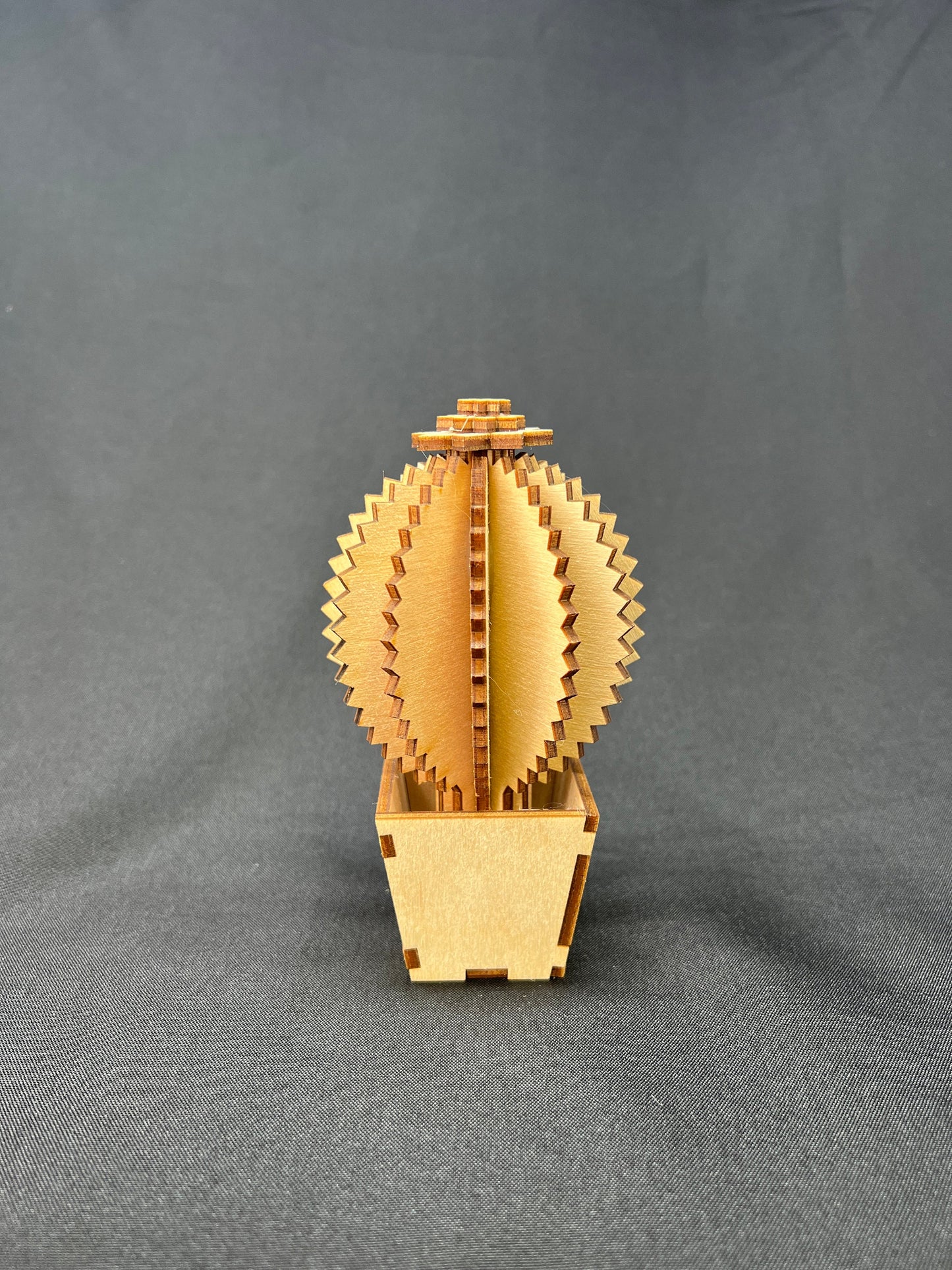 Laser Cut Wooden Cactus | Dottie