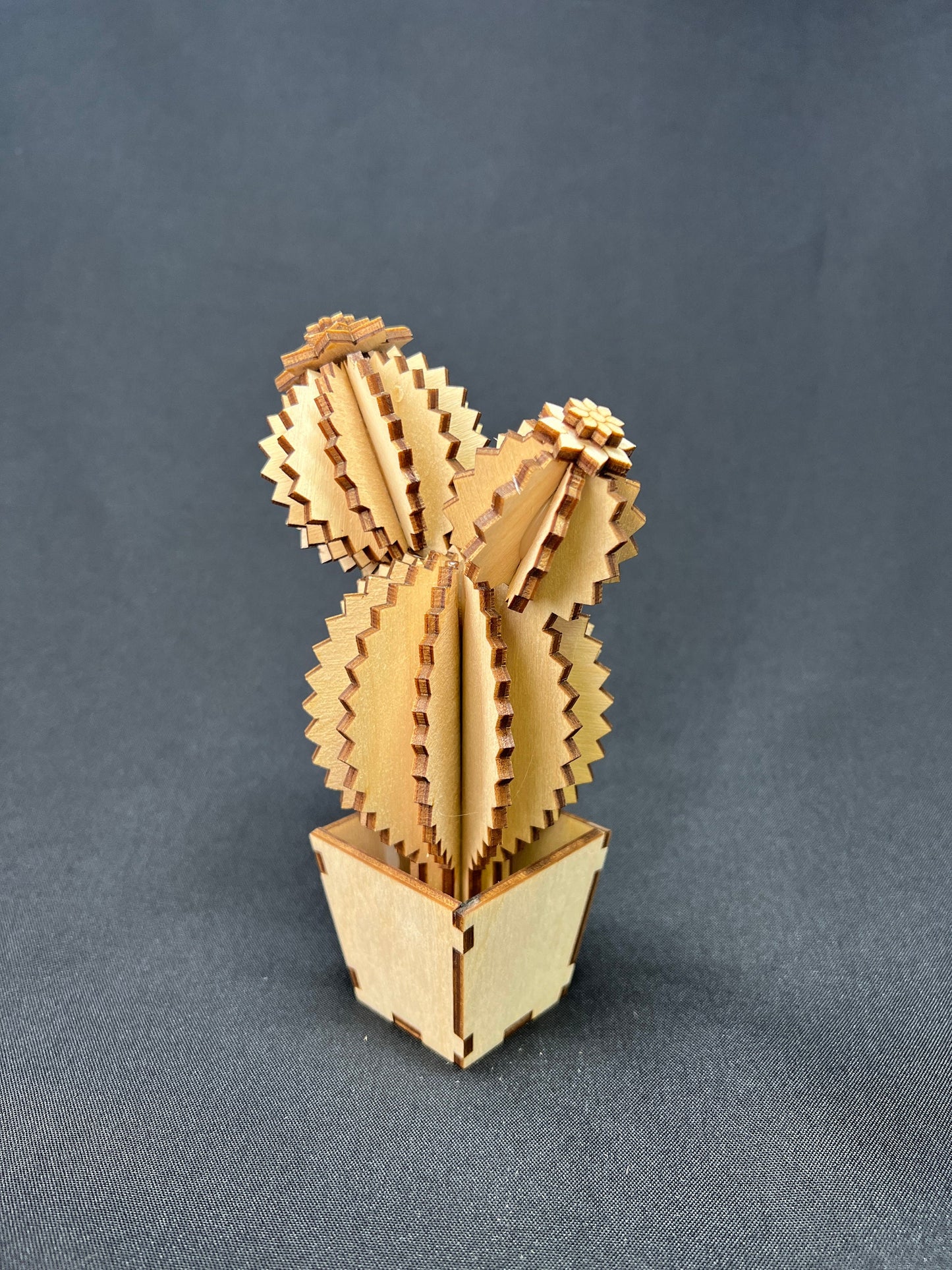 Laser Cut Wooden Cactus | Ophelia