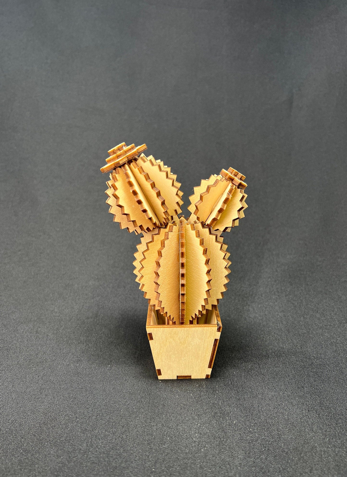 Laser Cut Wooden Cactus DIY Kit | Ophelia